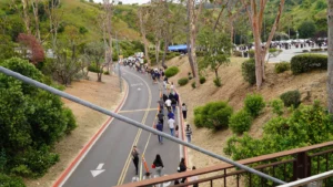 People are walking in a single line on a winding road surrounded by trees and hills, with a few vehicles and tents visible in the background.